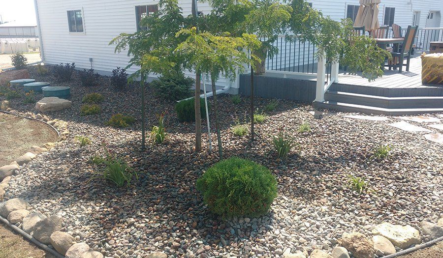 Landscaped yard with trees and bushes, covered in dark rocks, against a white house and deck.