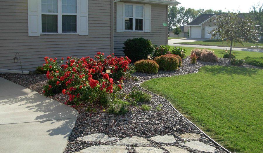 A house with red rose bushes in a rock-filled garden bed next to a stone pathway and green lawn.