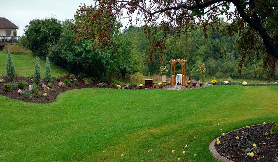 Lush green lawn with garden beds, wooden arbor, and trees in a backyard setting.