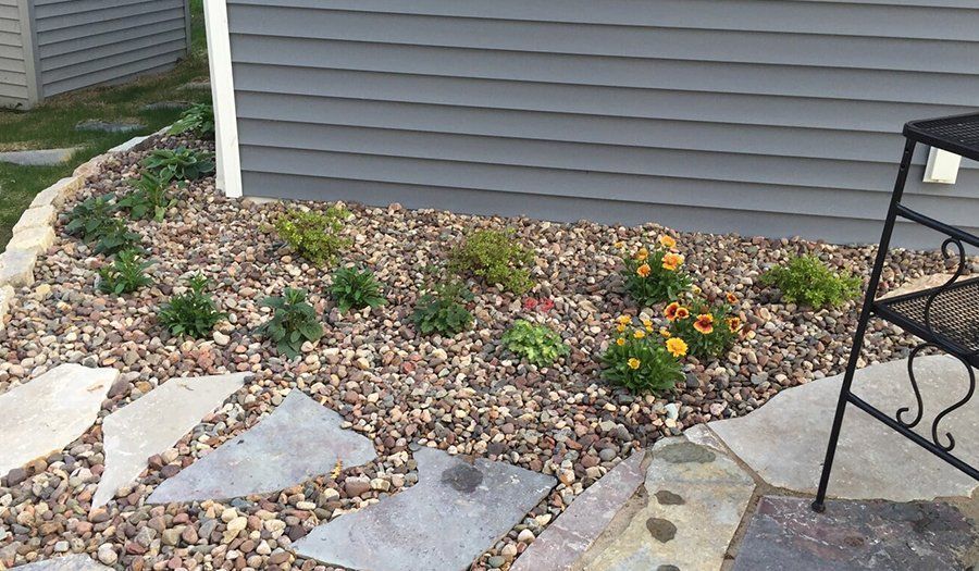 Rock garden with flagstone path and gray siding. Various green plants and orange flowers in the rocks.