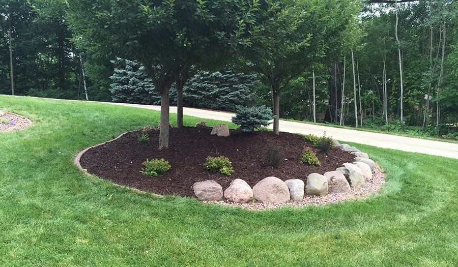 Lawn with trees and a landscaped bed surrounded by large rocks, pathway in the background.
