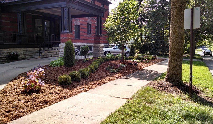 A landscaped front yard with mulch and shrubs next to a sidewalk and a brick house.