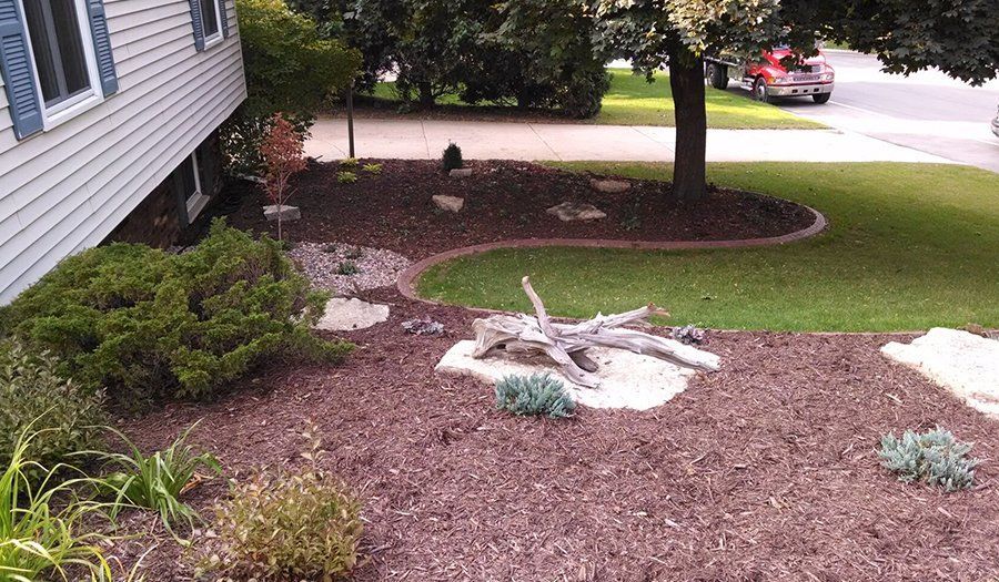 Front yard with mulch, rocks, and a few plants around a tree.