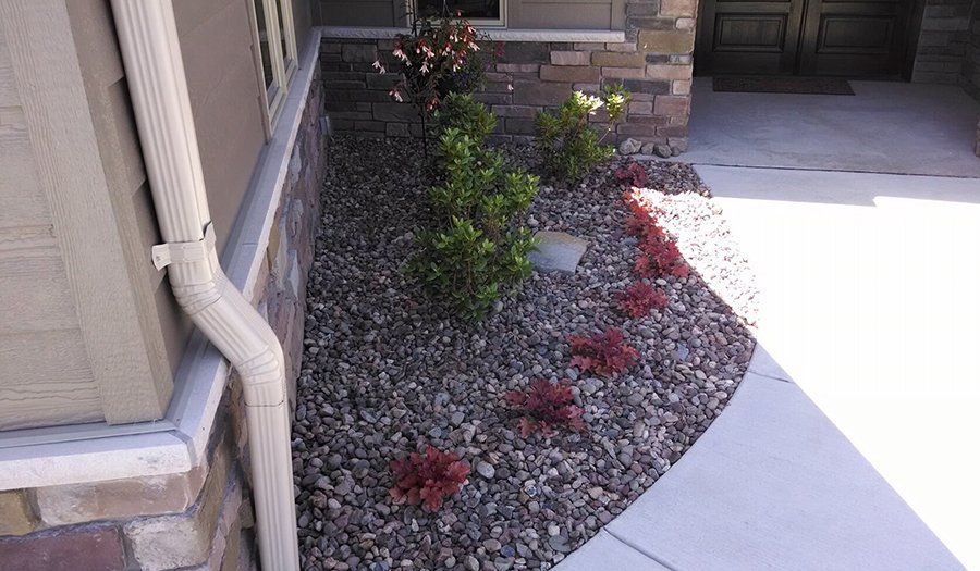Landscaped garden bed with rocks, shrubs, and a sidewalk.