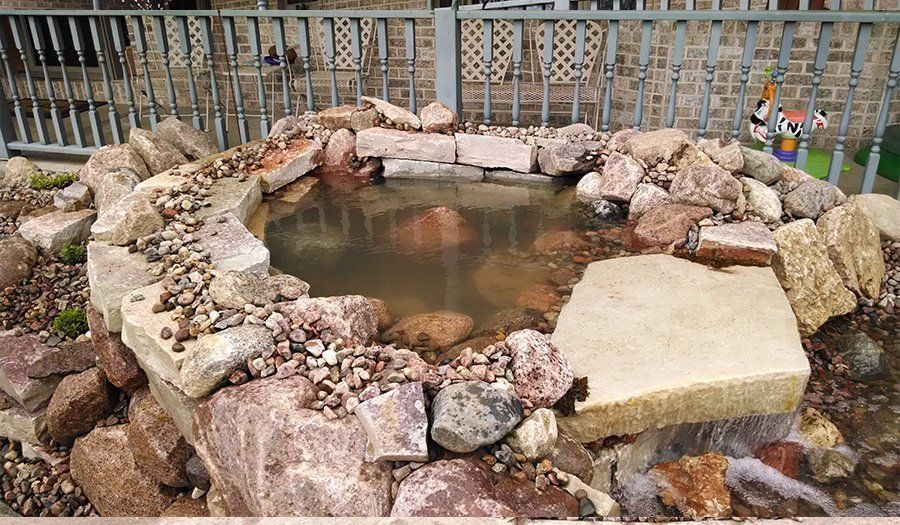 A small rock-lined pond with murky water. Stones surround the edges; a fence and house are in the background.