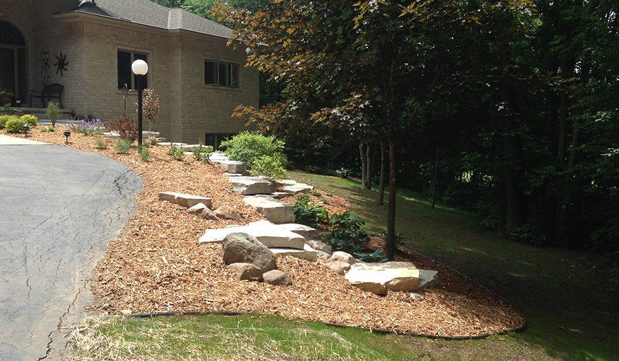 Landscaped yard with rocks, wood chips, and a tree alongside a paved driveway and beige house.