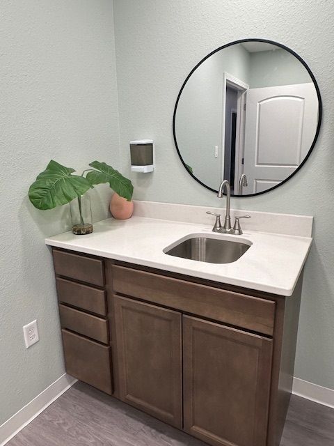 elegant sink and cabinets