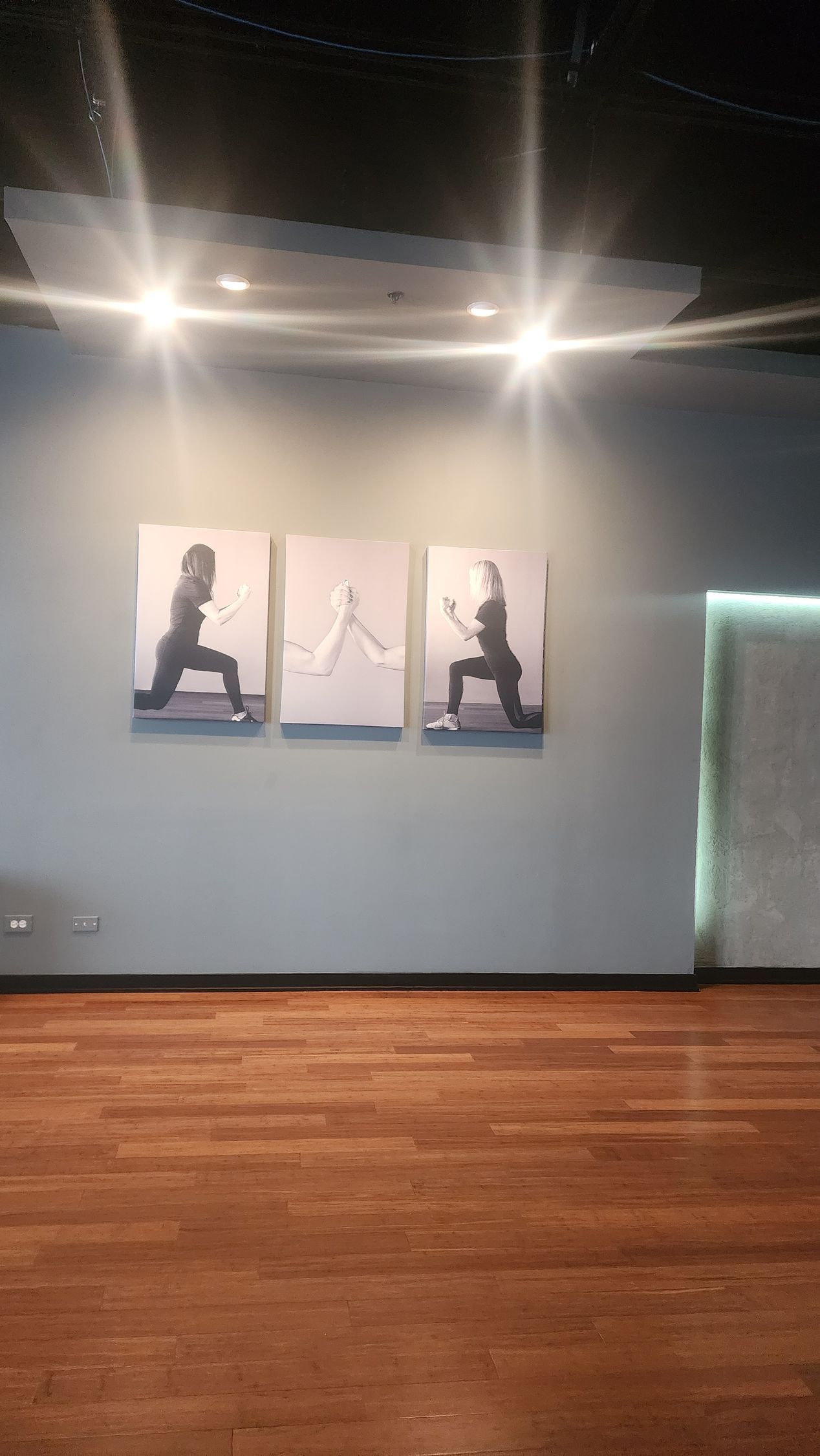 Gallery wall with three framed silhouette artworks under spotlights on a white wall and wooden floor.
