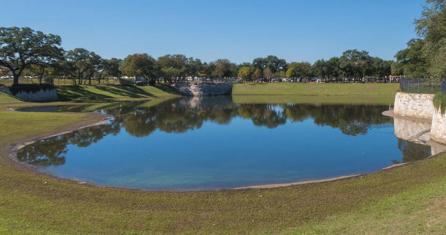 A pond in a park with trees reflected in the water