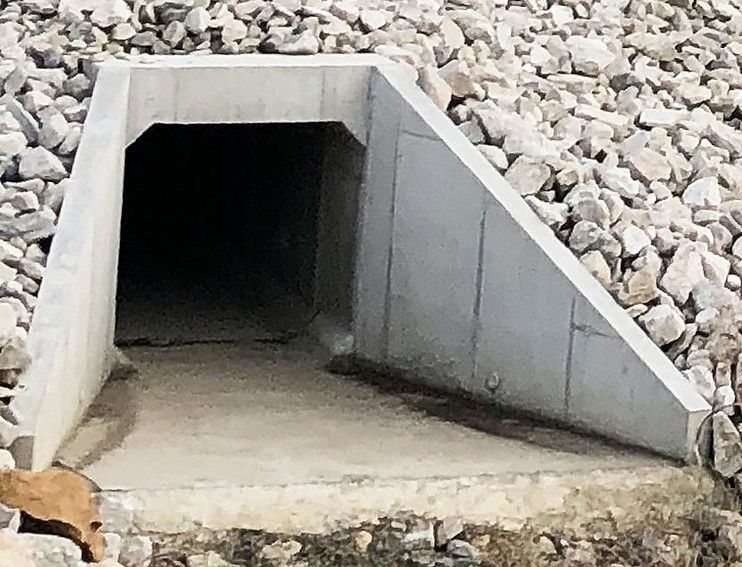 A tunnel is surrounded by rocks and a dog is standing in front of it.