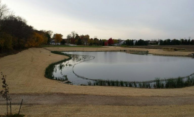 A large body of water surrounded by grass and trees