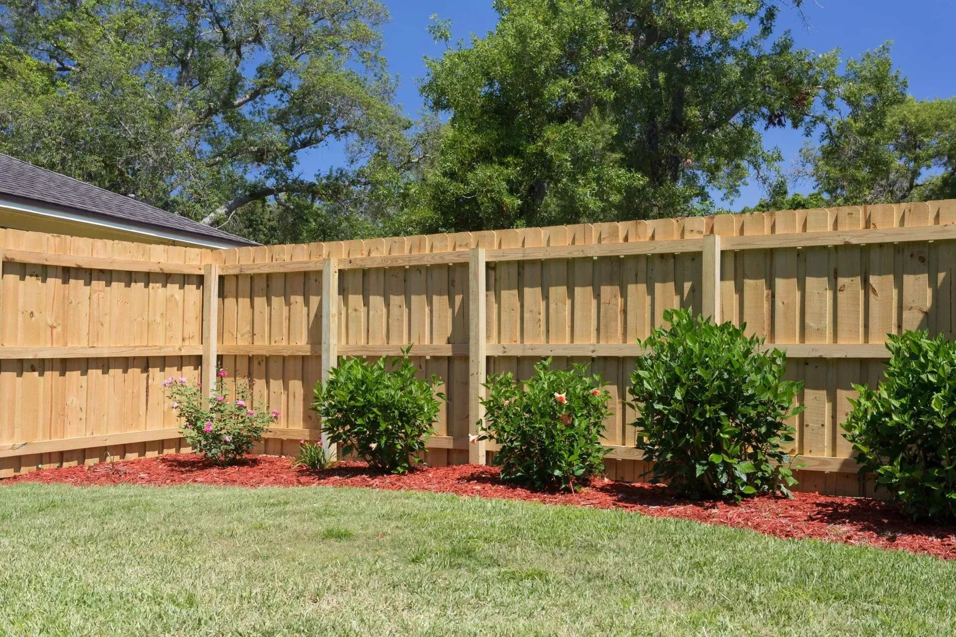 A wooden fence surrounds a lush green lawn in a backyard.