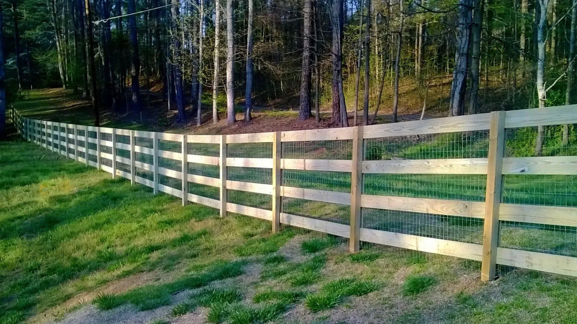A wooden fence surrounds a grassy field with trees in the background.