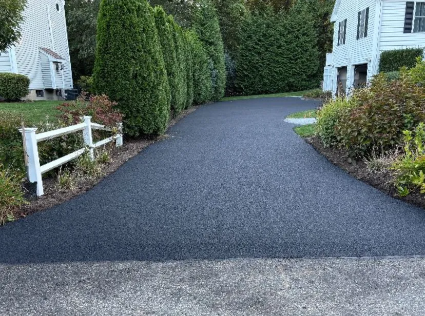Black asphalt driveway leading to a white house, lined with green bushes and trees.