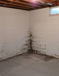 Basement corner with white walls, mold stains, and exposed wooden ceiling joists.