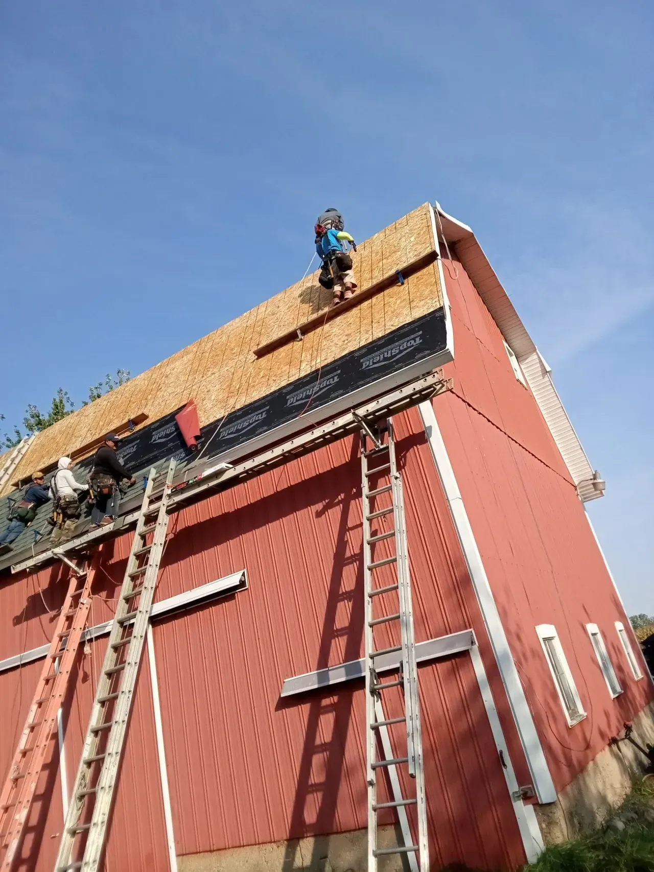 A man is standing on the roof of a red barn.