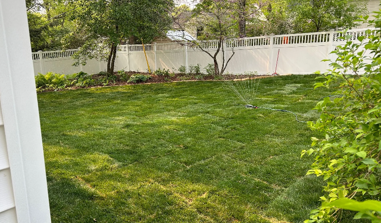 Green lawn with sprinkler, white fence, and trees in a backyard setting.