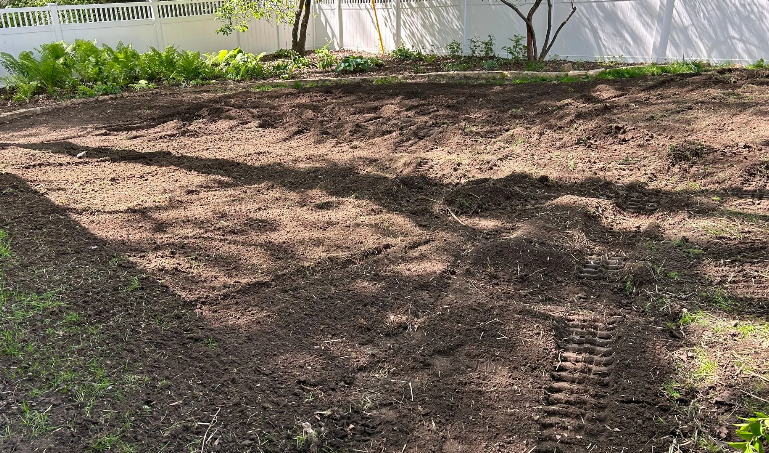 Prepared garden bed with dark soil, shadows, and green plants in the background.