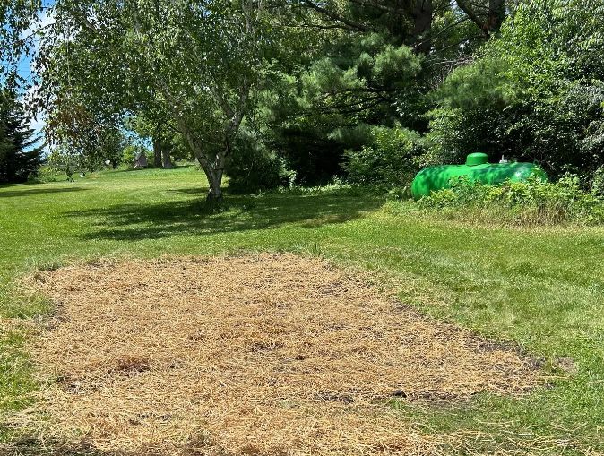 Lawn with a large patch of dead grass in front of trees and a green object.