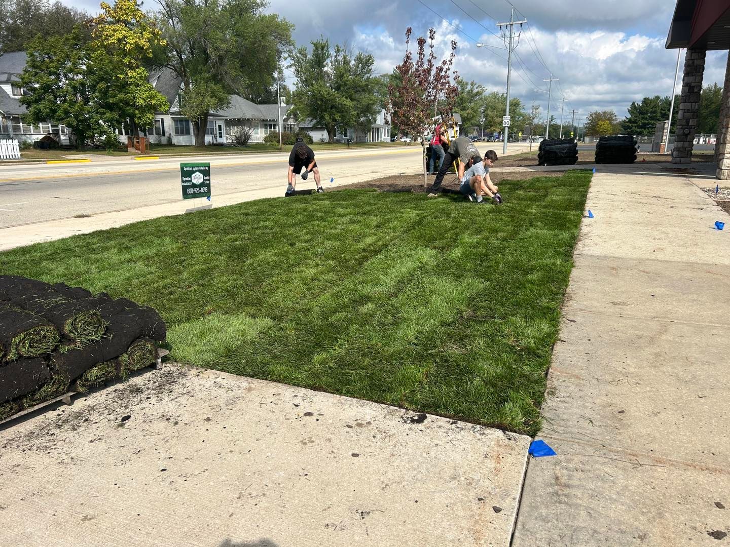 People installing sod along a street. Green grass contrasts with gray concrete. Cloudy sky.