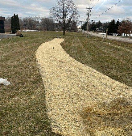 Path of straw mulch winding across a grassy lawn, near a road.