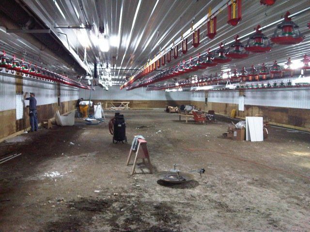 An empty barn with a ladder in the middle of it