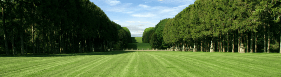 Manicured Lawn - Large Green Field
