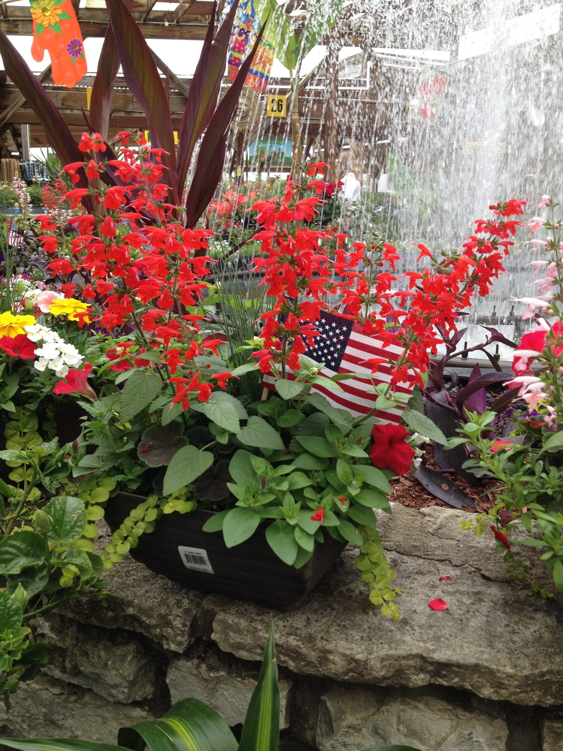 Memorial-Day-planters
