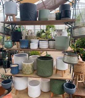 Shelved display of assorted colorful plant pots and planters in a greenhouse
