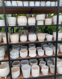 Shelves of assorted white ceramic planters and pots in a garden center display