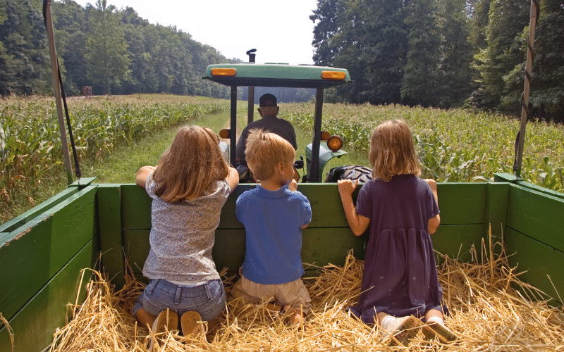 Three children kneel in a hay-filled wagon, looking ahead at a tractor driver on a farm.
