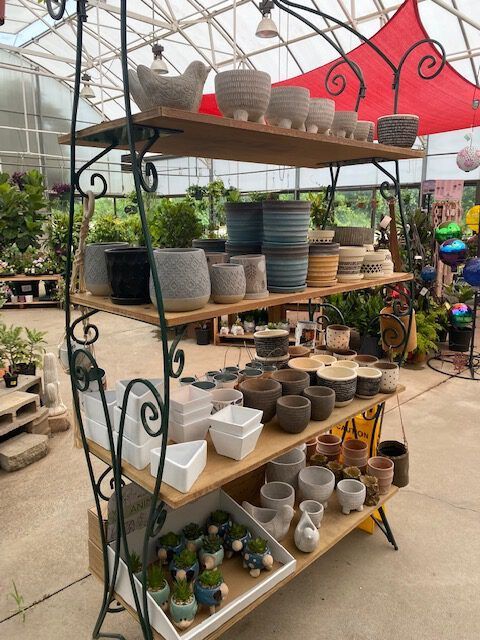Shelves displaying various ceramic planters in a greenhouse setting.