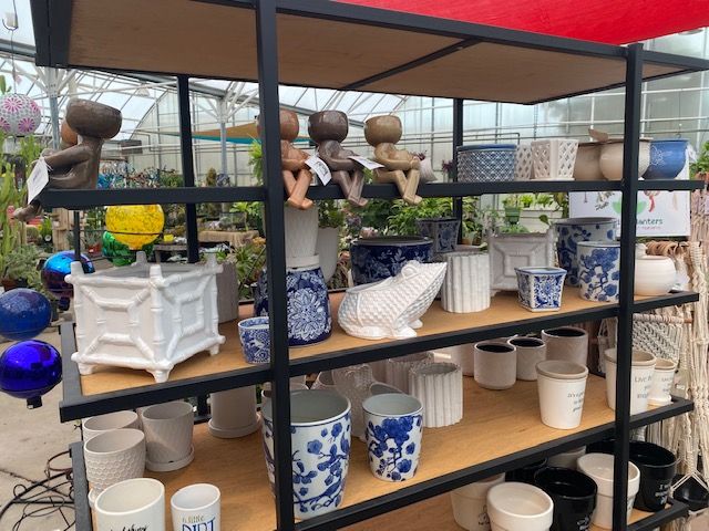 Shelves displaying various ceramic planters in a greenhouse setting.