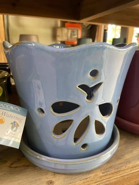 Blue ceramic self-watering planter with decorative cutouts, sitting on a matching saucer, on a wooden shelf.