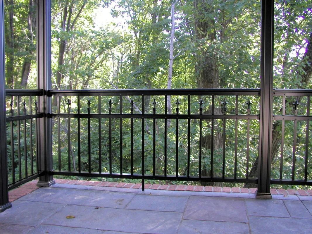 Empty screened porch with black railing overlooking green trees