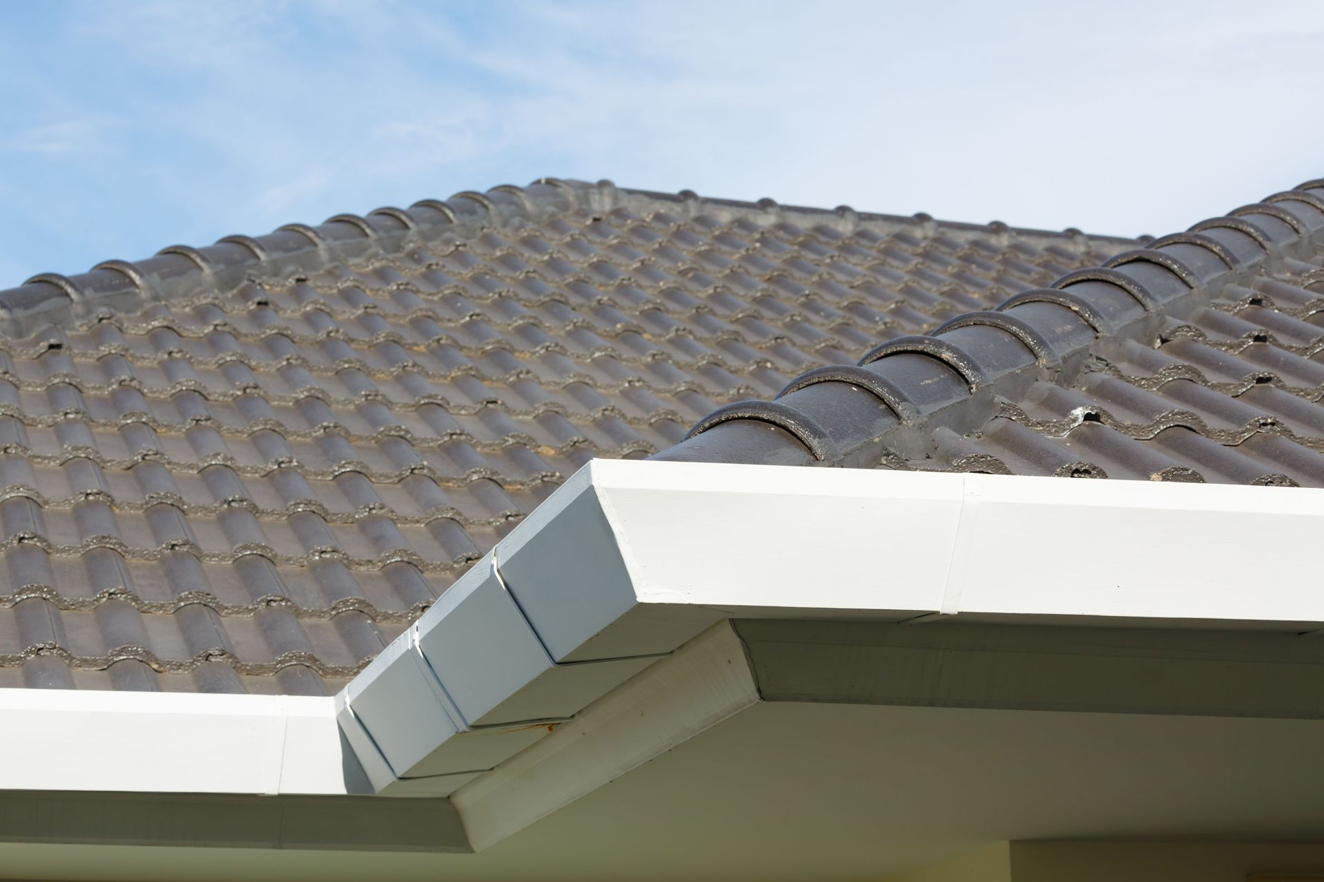 Close-up of a house roof with dark gray curved clay or concrete tiles and white trim against a blue sky.