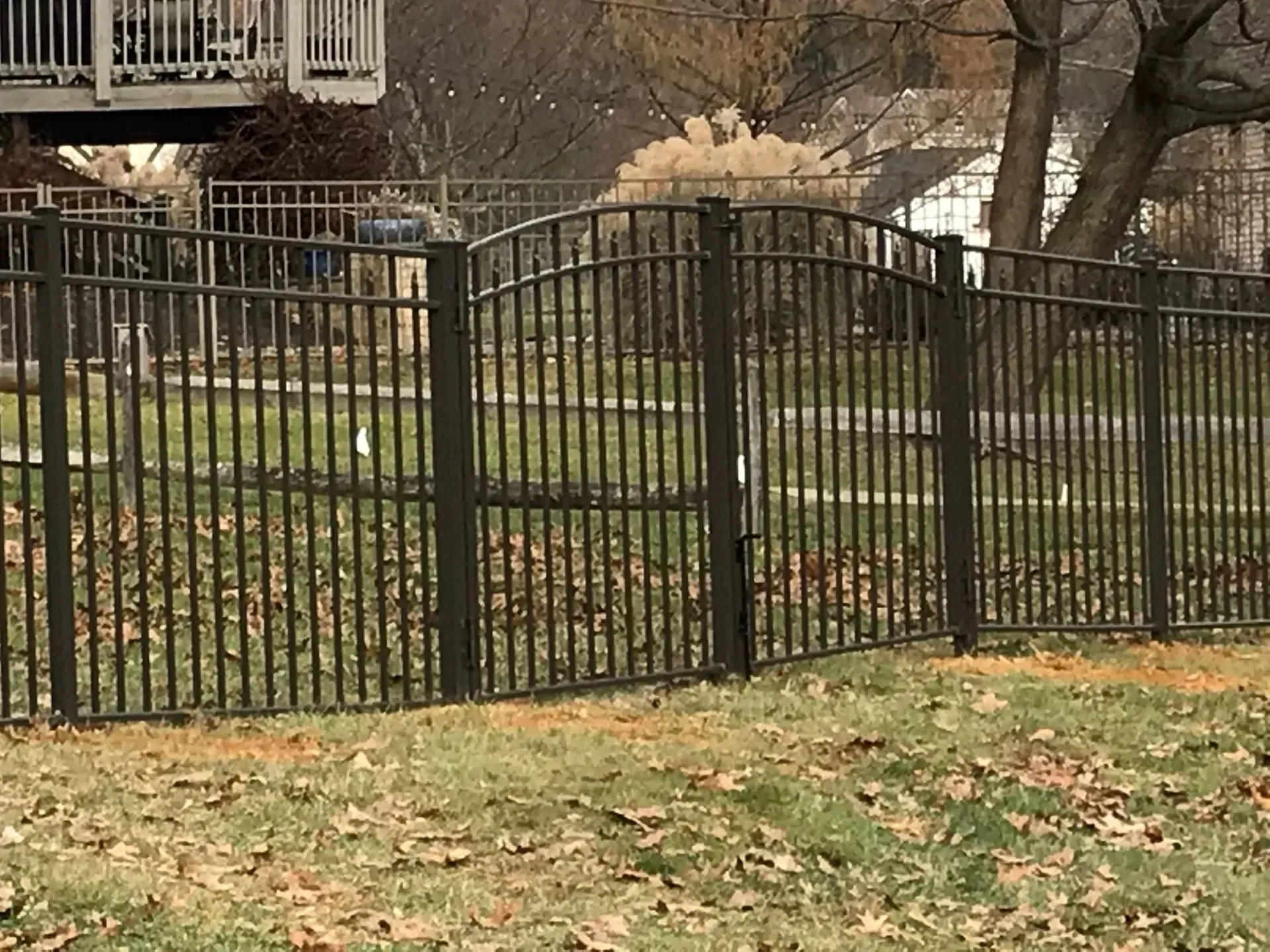 A black metal fence is surrounding a grassy field.