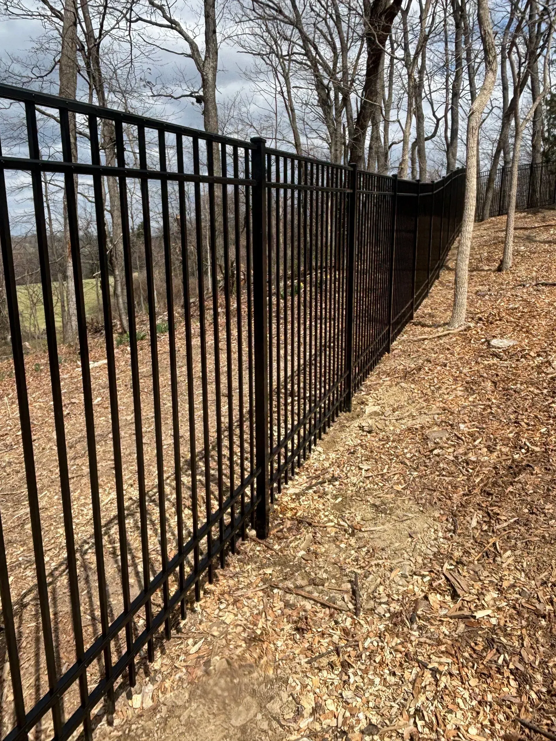 A black metal fence surrounds a path in the woods.