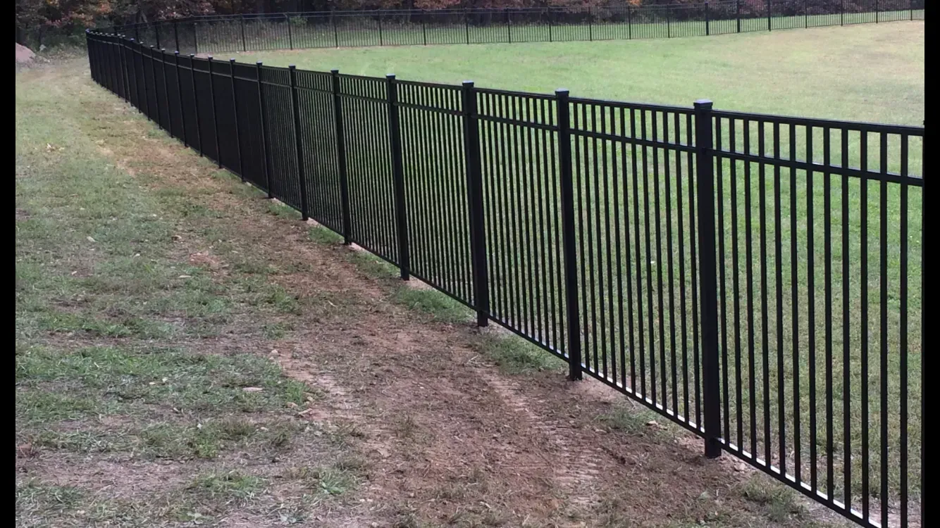 A black metal fence surrounds a grassy field