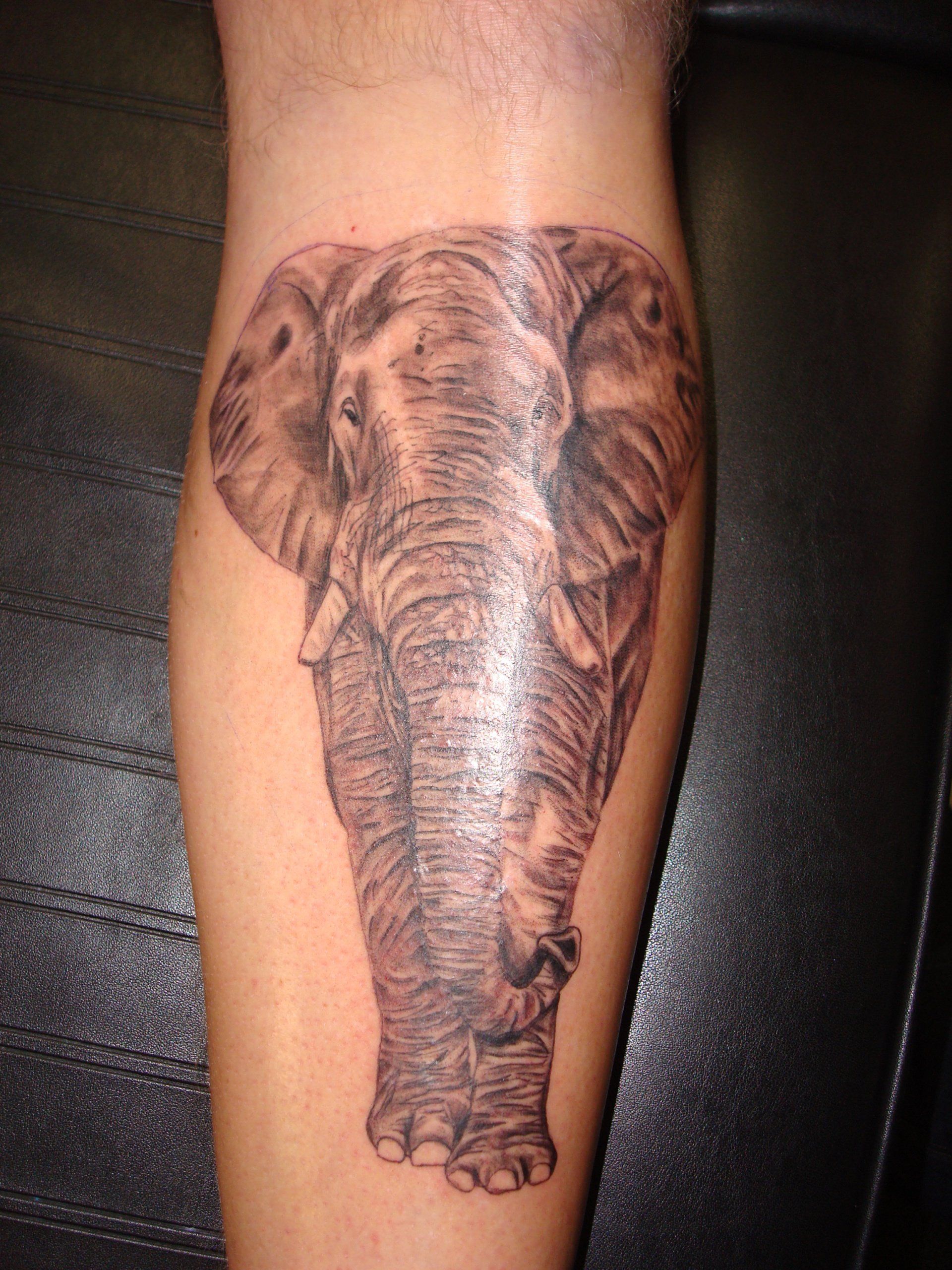 elephant tattoo