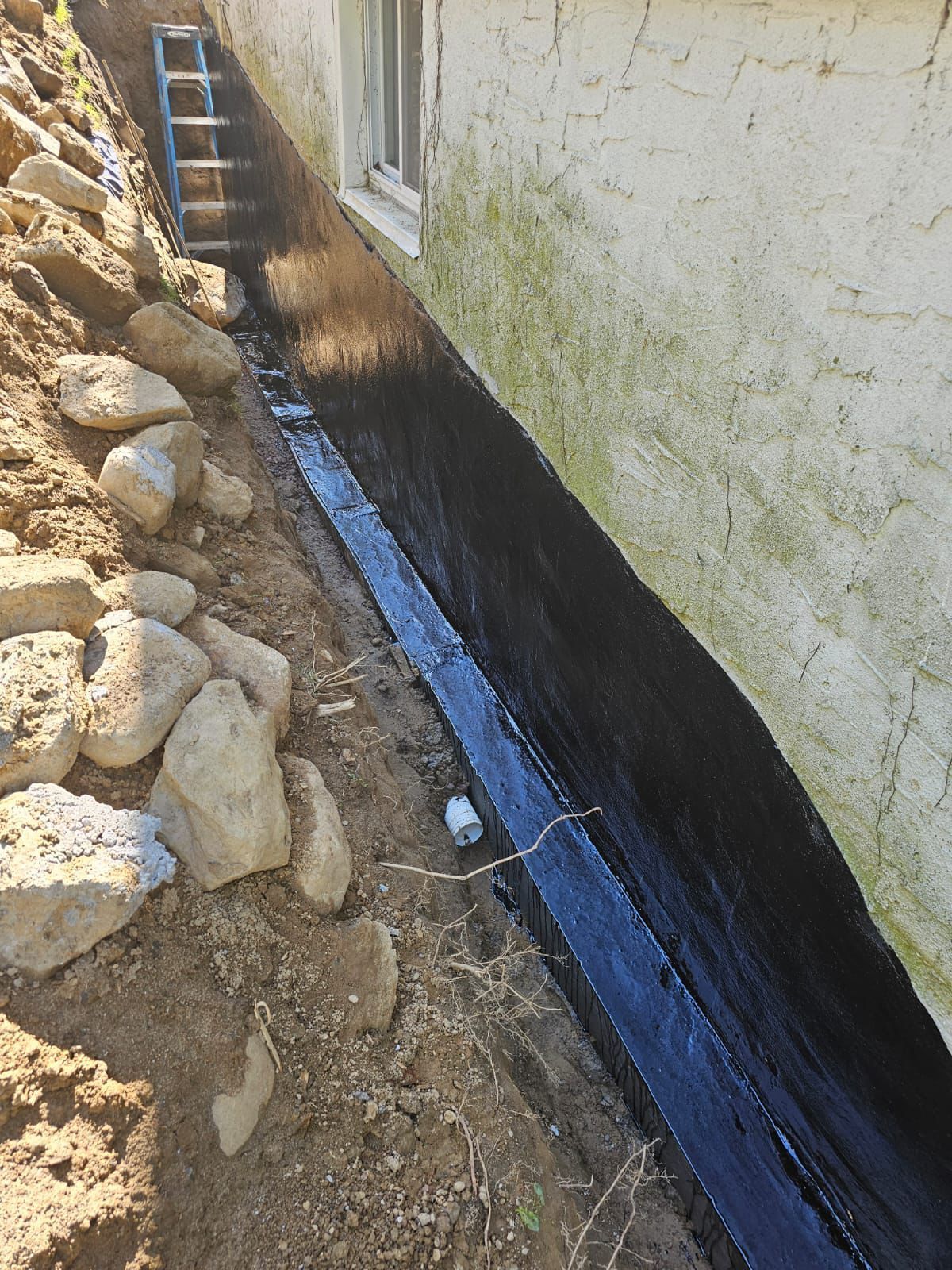 An excavated foundation wall coated in black waterproof sealant, with a ladder leaning against it in a dirt trench.