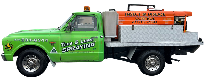 Green truck with insect spraying equipment. Orange tank and silver bed.