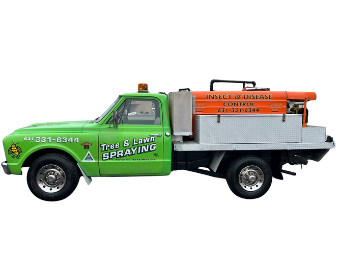 A East End Tree & Lawn Spraying