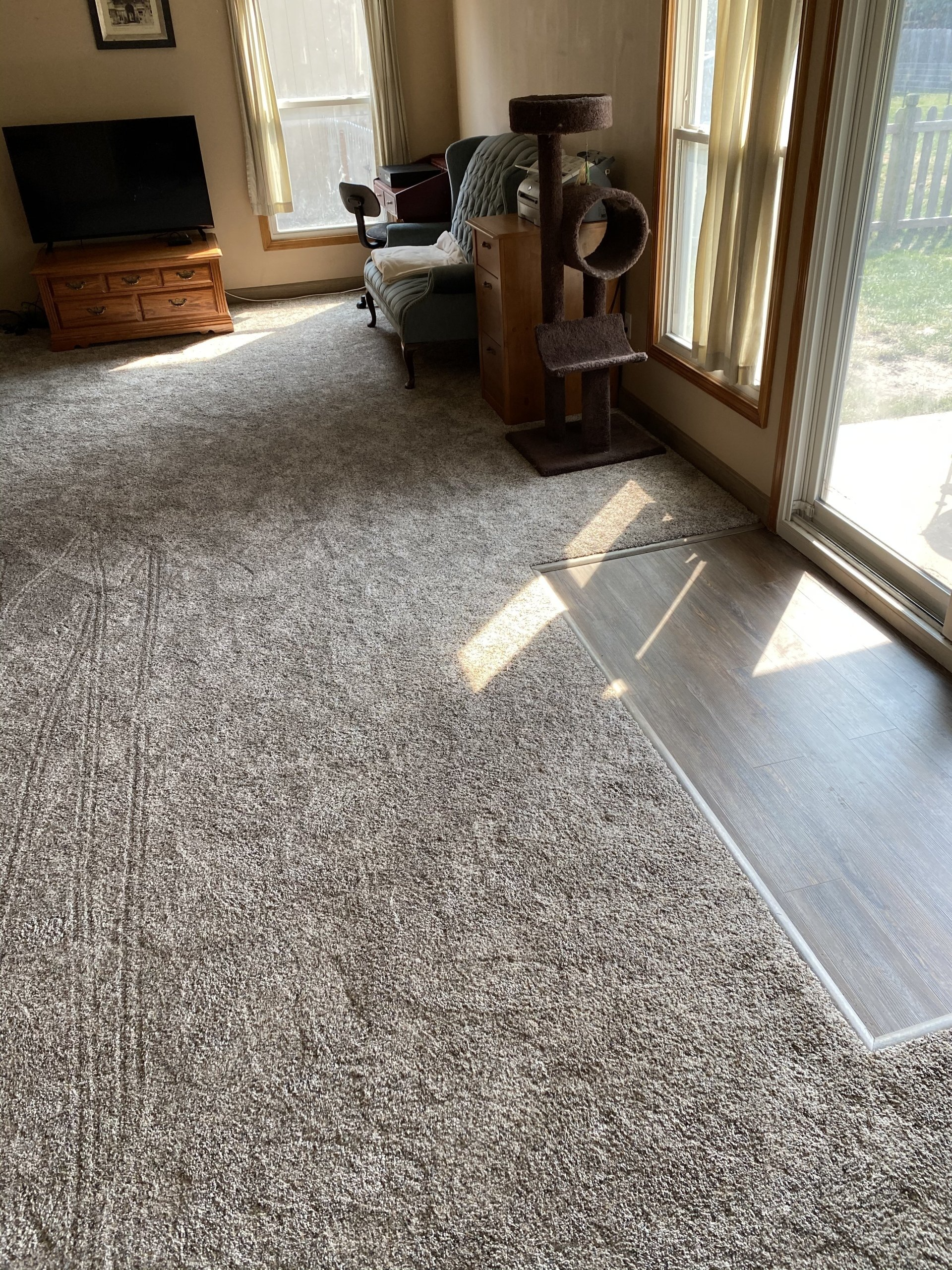 Living room with carpet, tile, window, cat tree, and television.