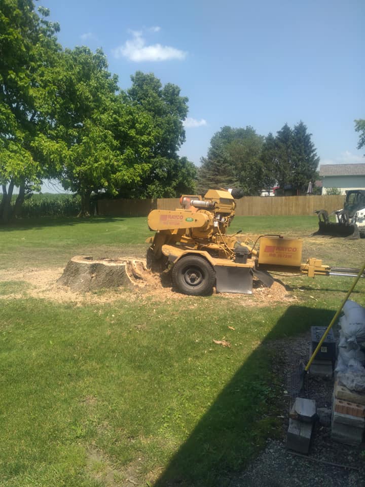 Stump Removal