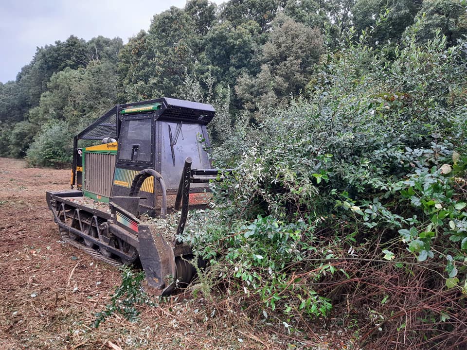 Land Clearing