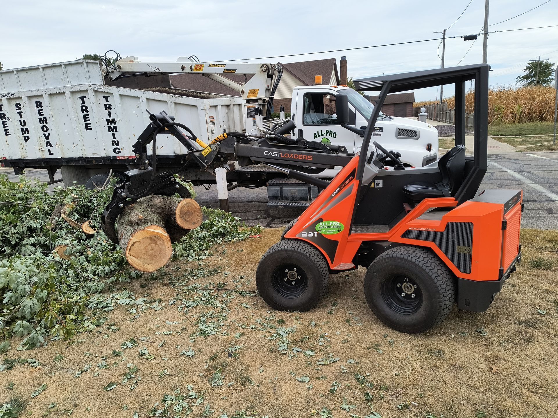 Orange compact loader moving logs onto a tree service truck. A person is in the truck cab.