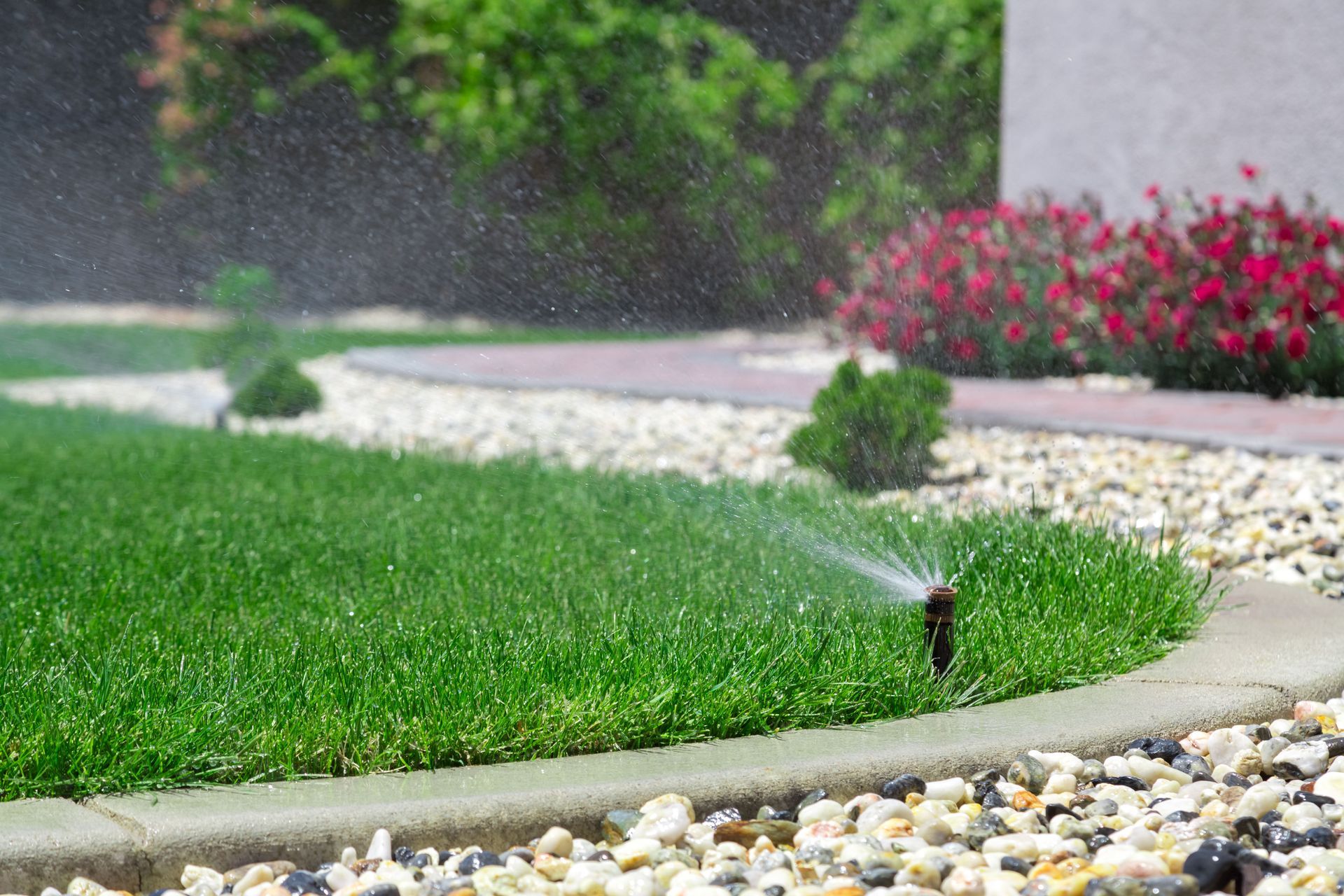 lawn maintenance