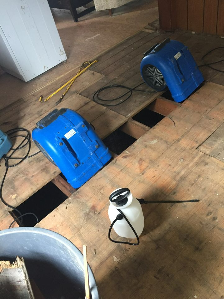 two blue fans are sitting on a wooden floor next to a spray bottle