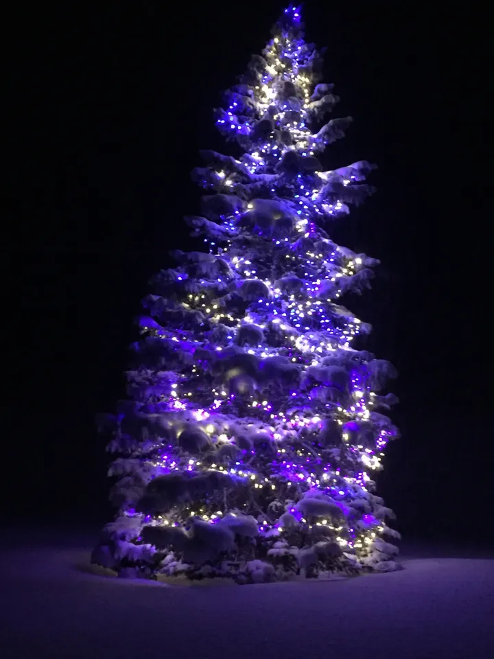 a christmas tree is covered in snow and decorated with purple lights